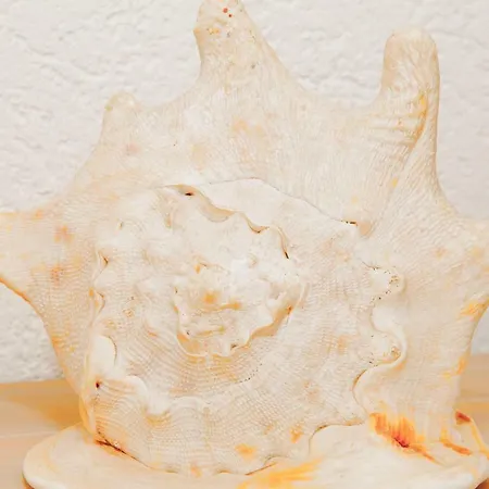 公寓 Bodenseedomizil