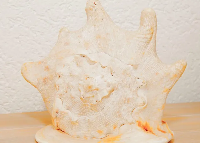 Apartman Bodenseedomizil